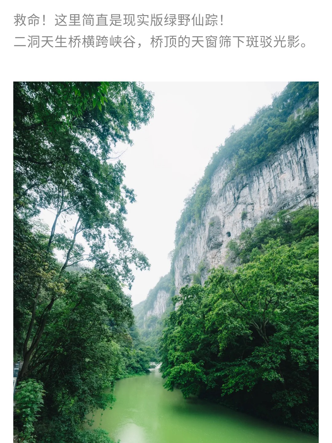 show_625264620_1748253967035_slice_12