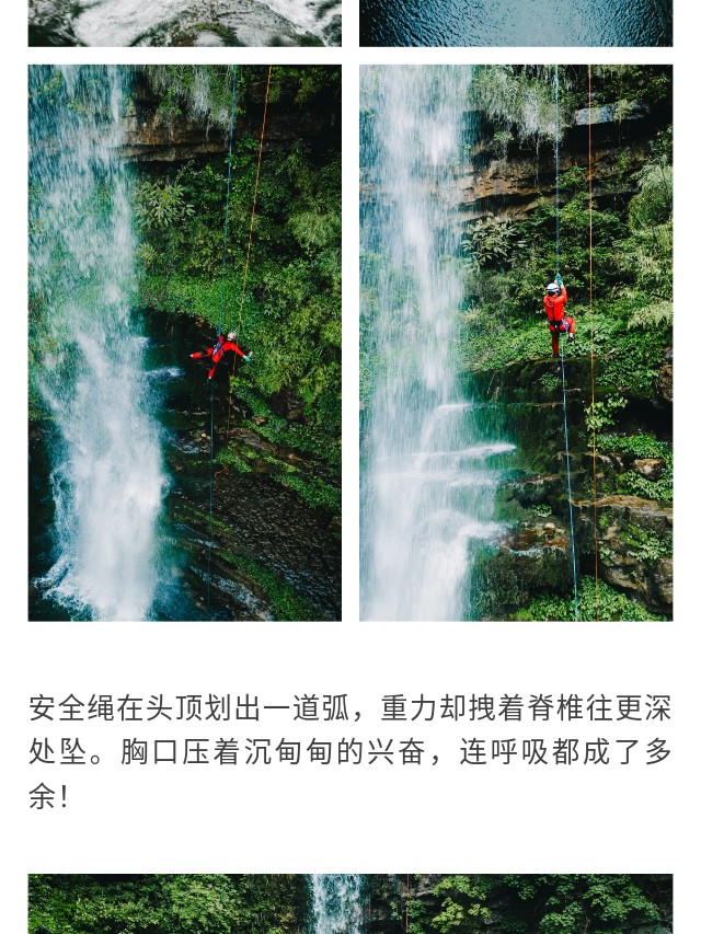 show_629253617_1749621659390_slice_2