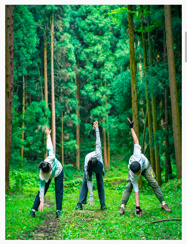 韶音x暮光森林2025