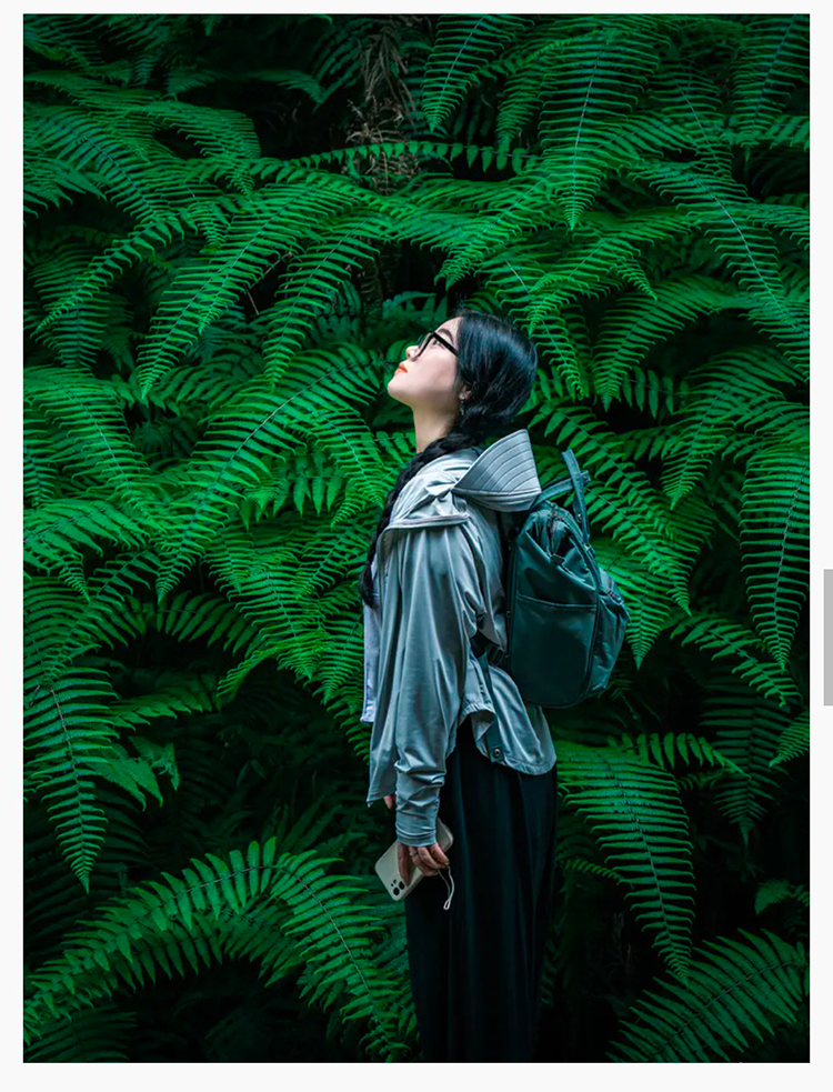 韶音x暮光森林2025