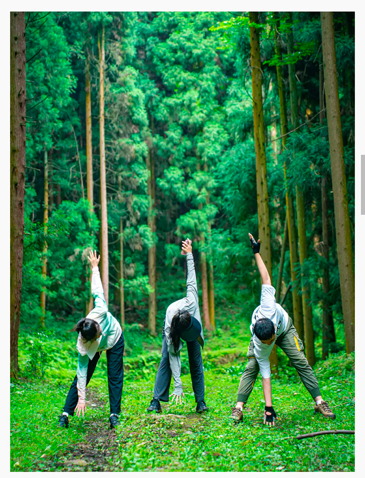 韶音x暮光森林2025