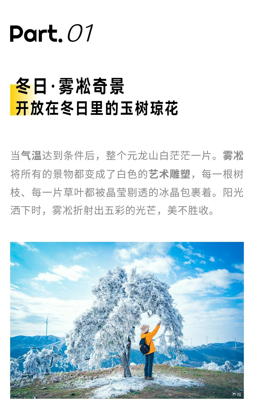 元龙山切片01_05