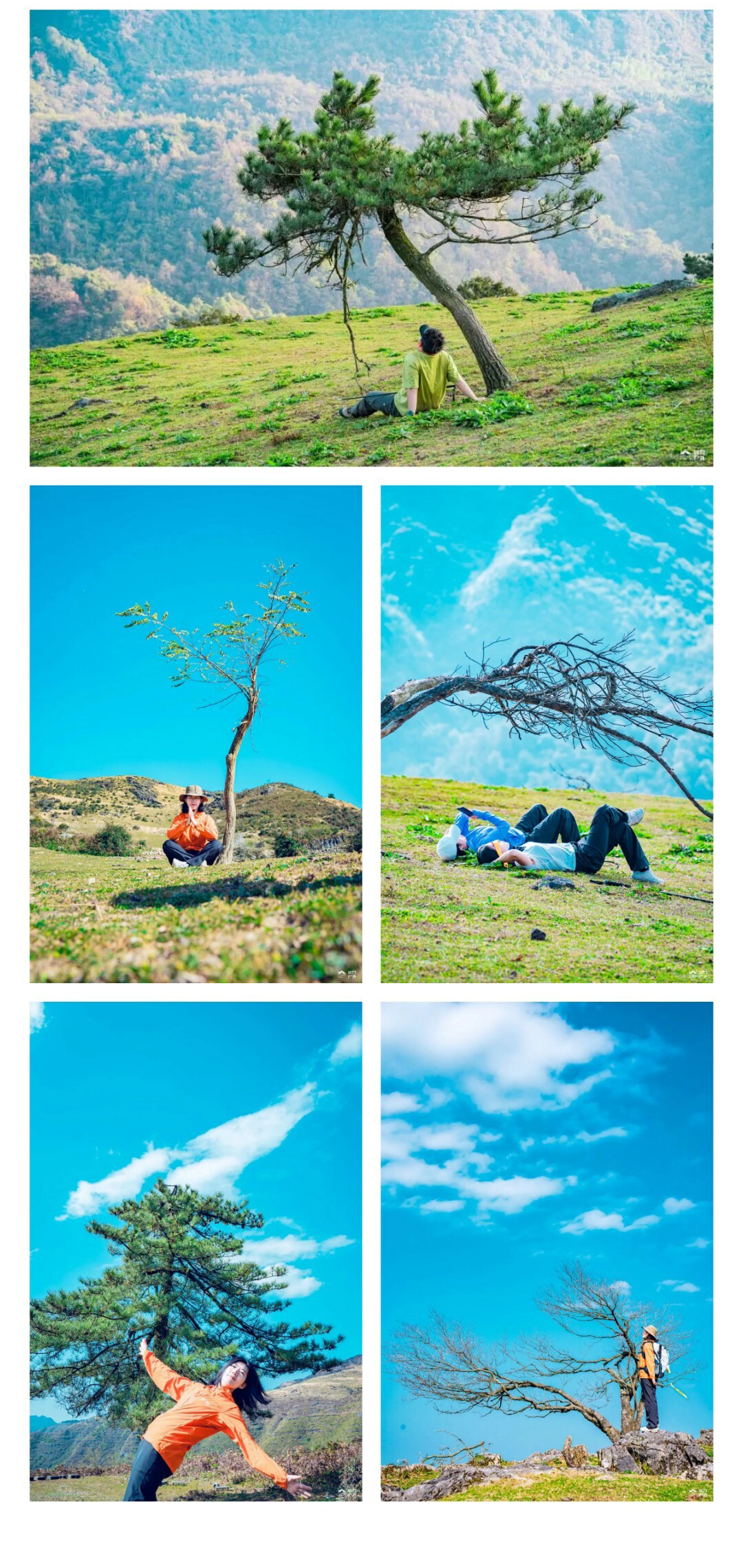 元龙山切片02_01