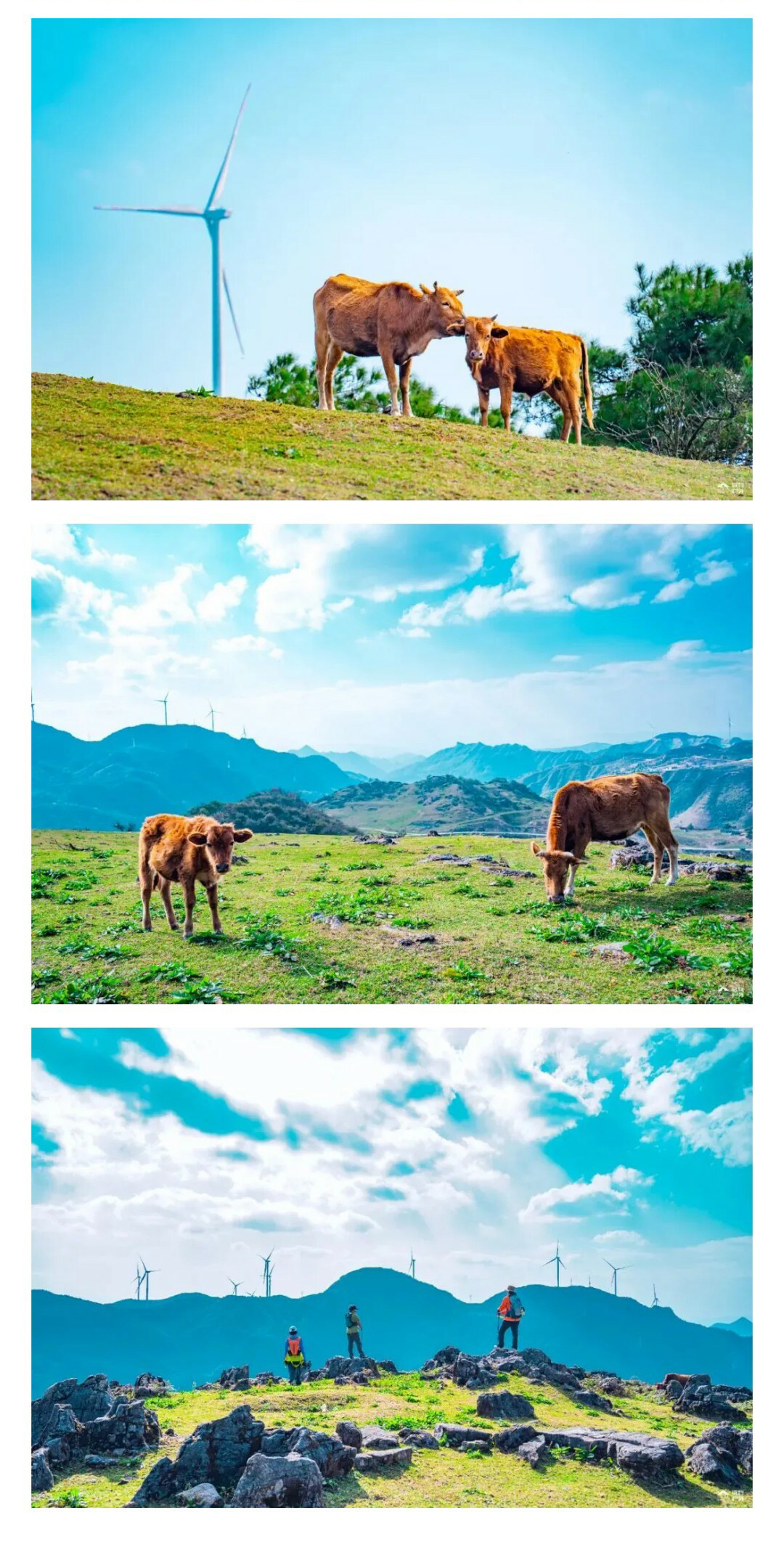 元龙山切片02_03