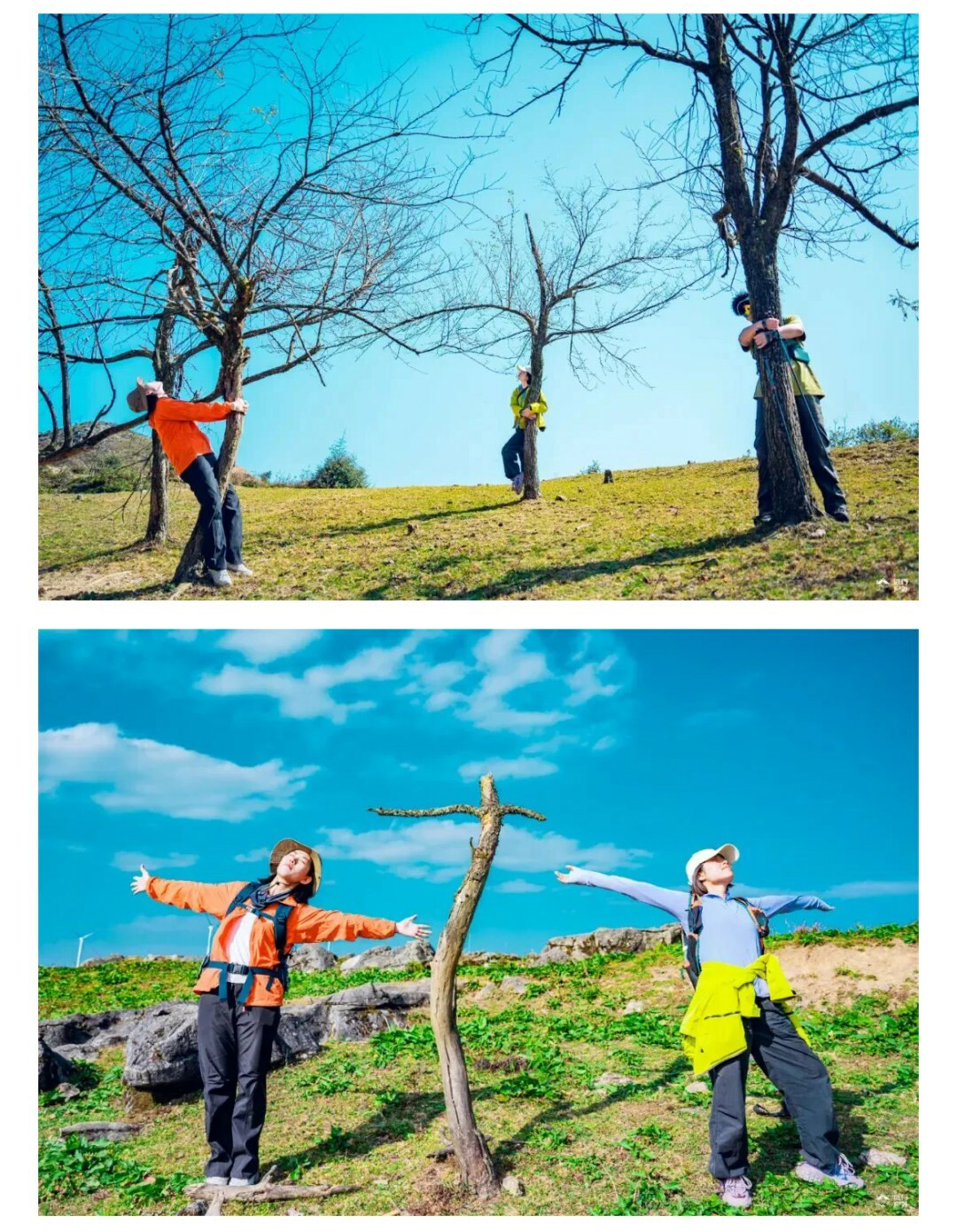 元龙山切片01_11