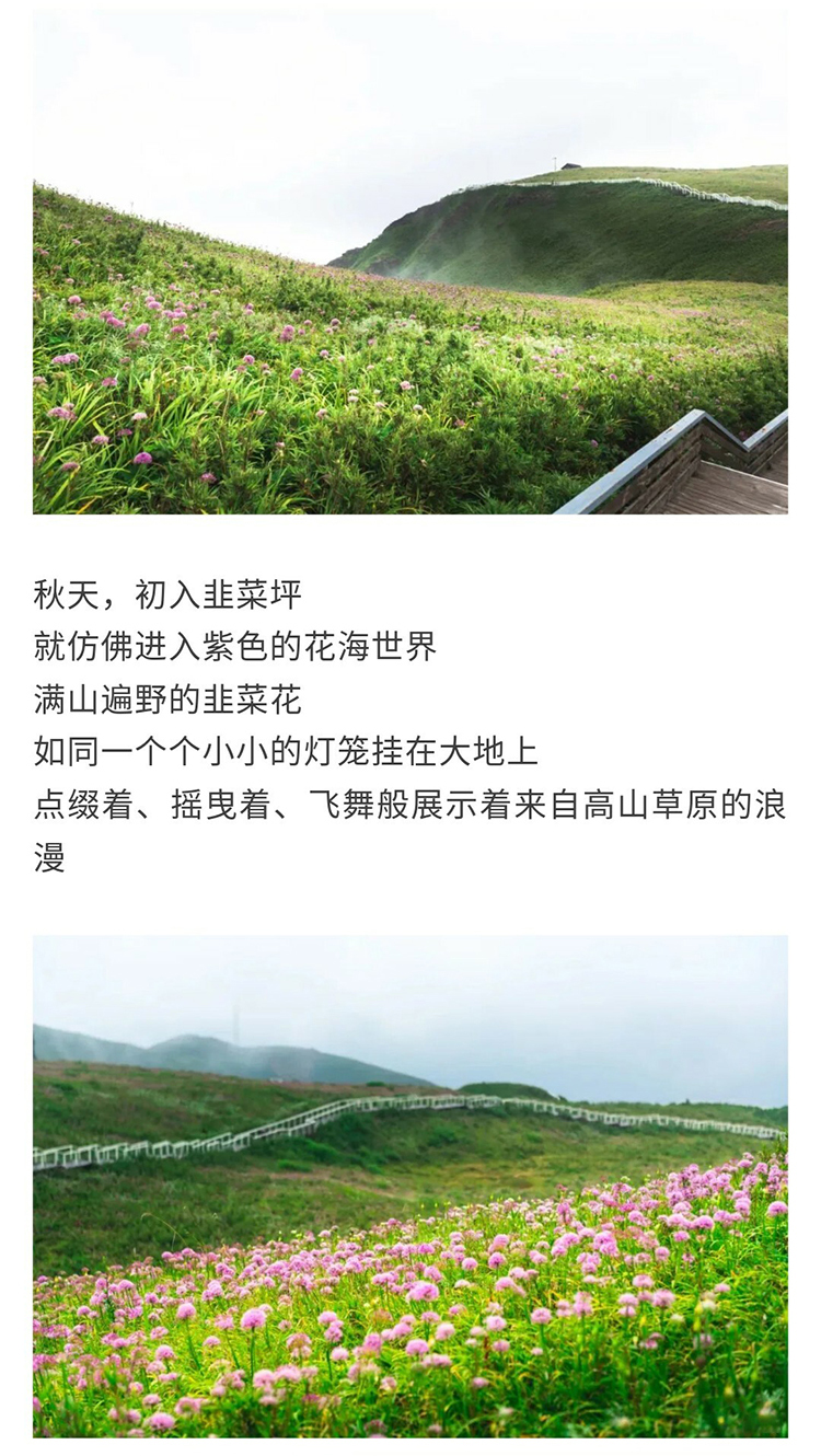 阿西里西-韭菜坪_04