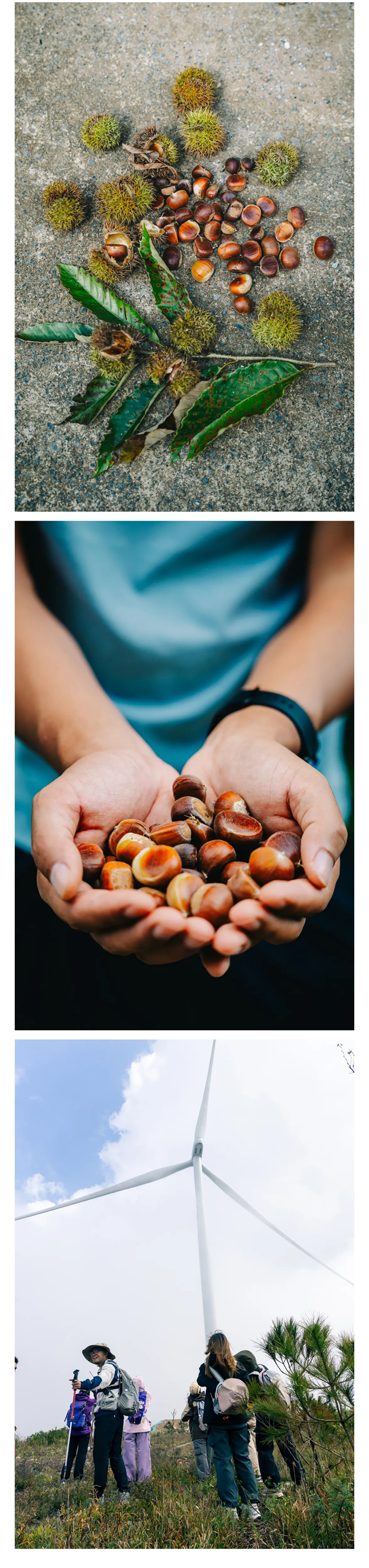 韶音轿顶山-秀米_05