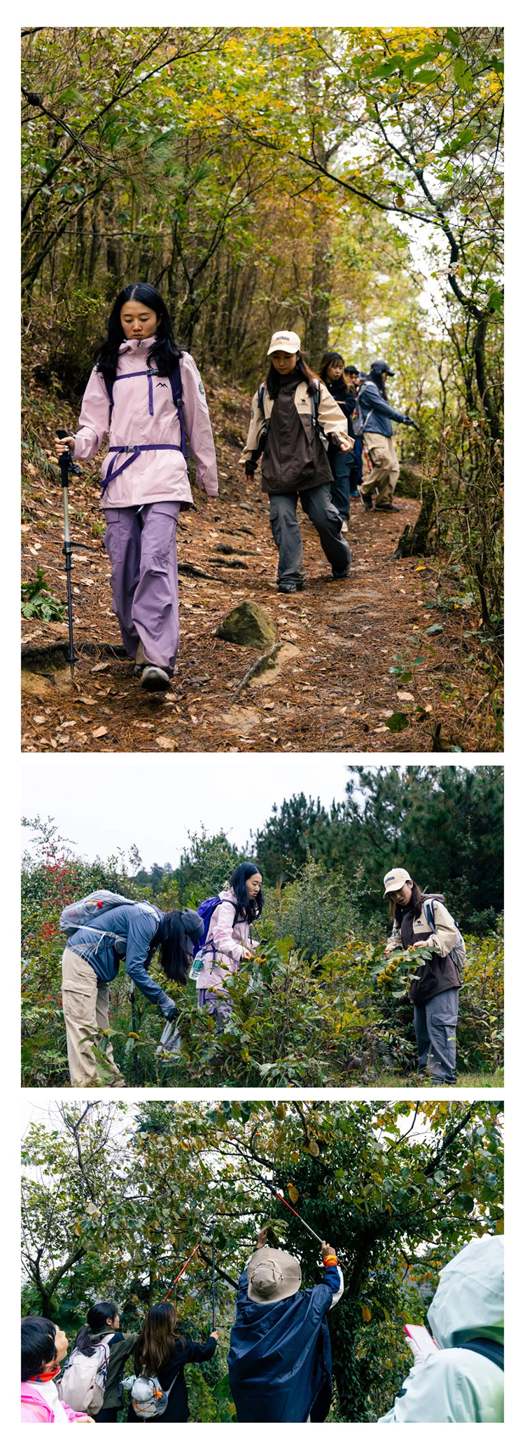 韶音轿顶山-秀米_02