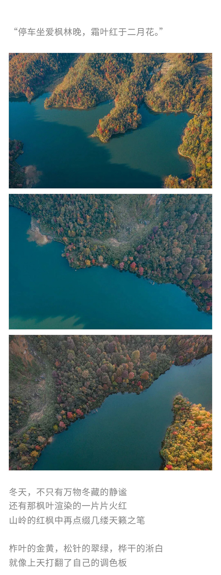 郎岱红枫林-秀米_02