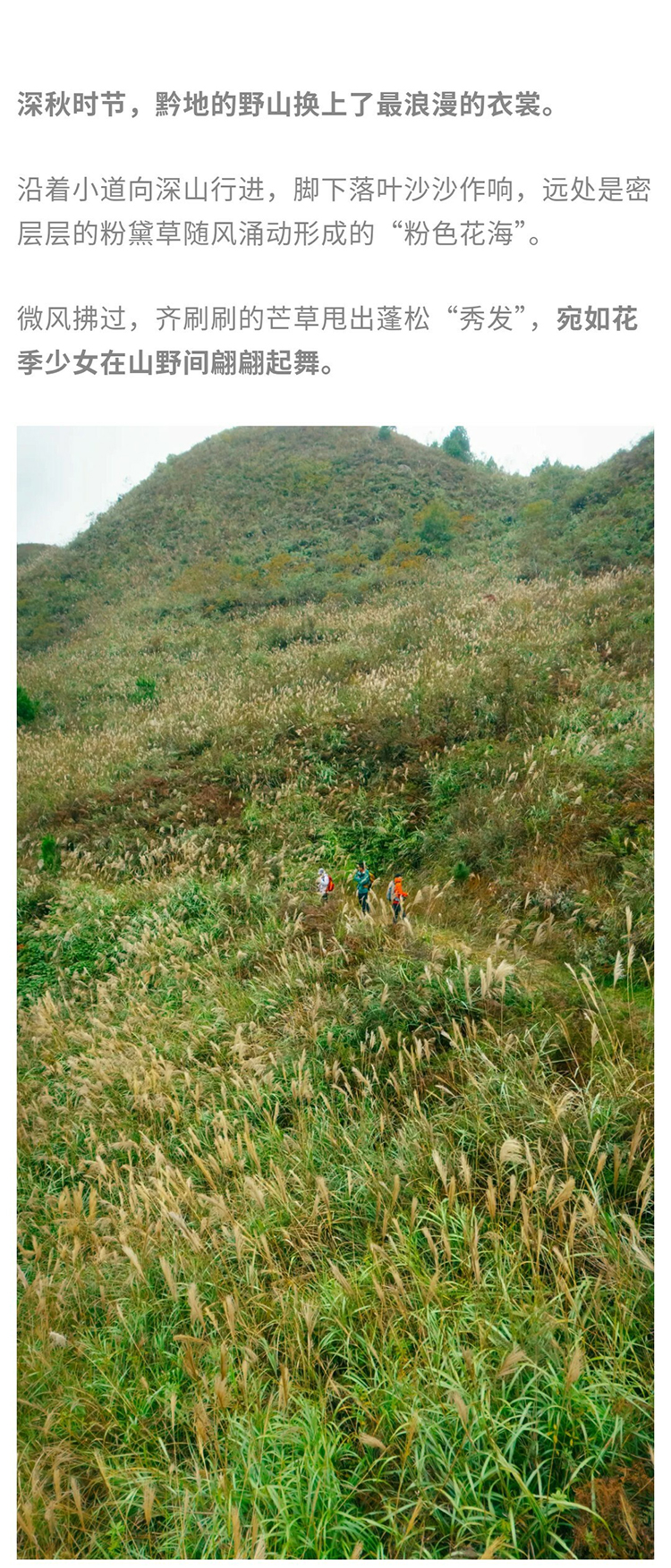 黔南秋韵-秀米01_02