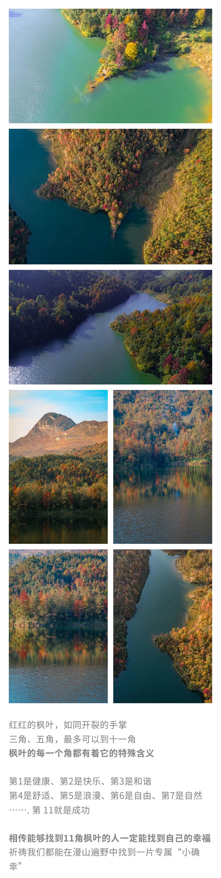 郎岱红枫林-秀米_03