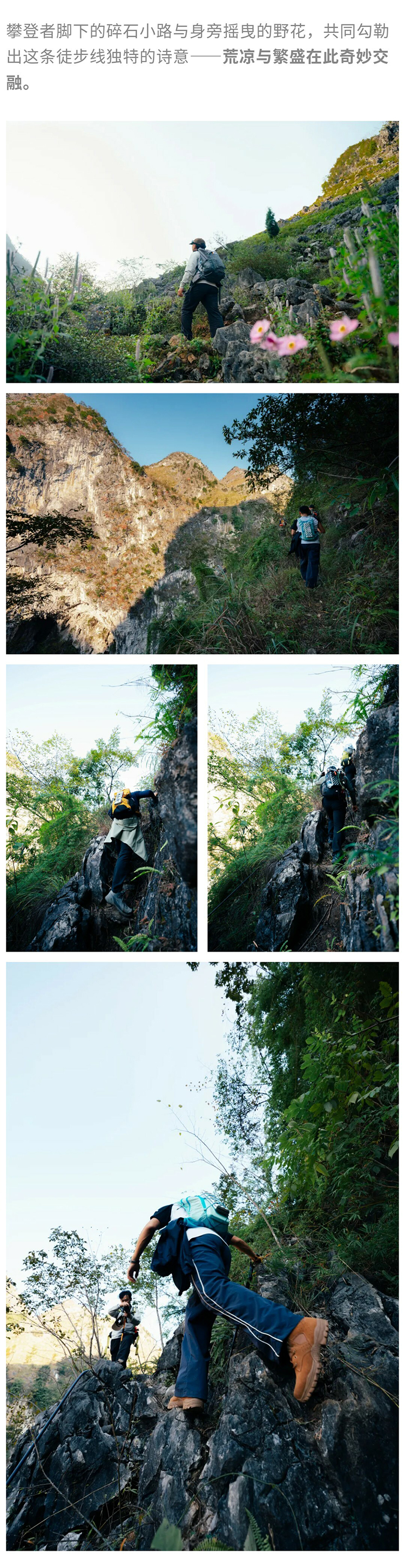 绿野棱镜-强驴出山01_08