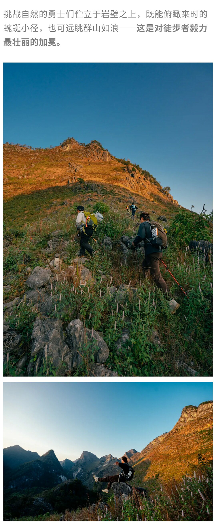 绿野棱镜-强驴出山02_02