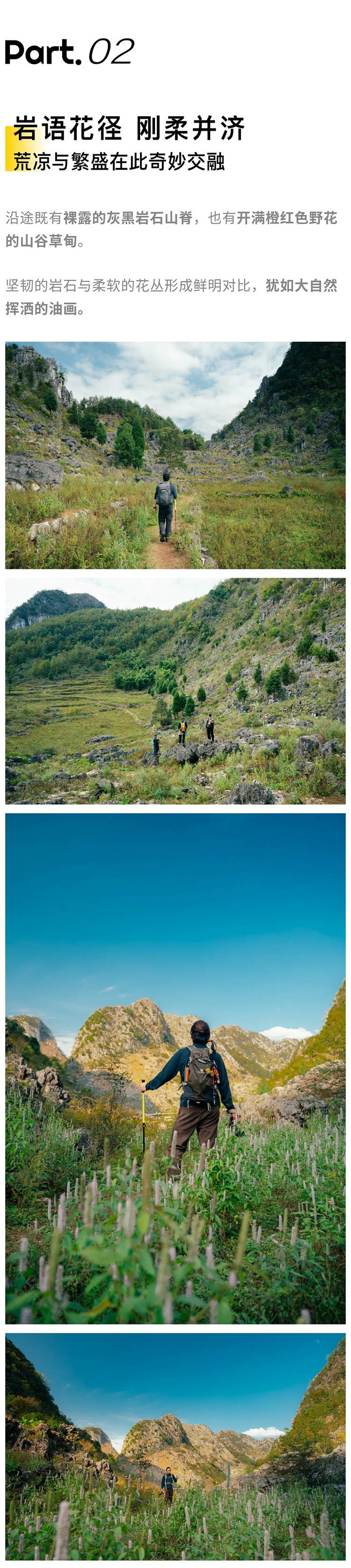 绿野棱镜-强驴出山01_07