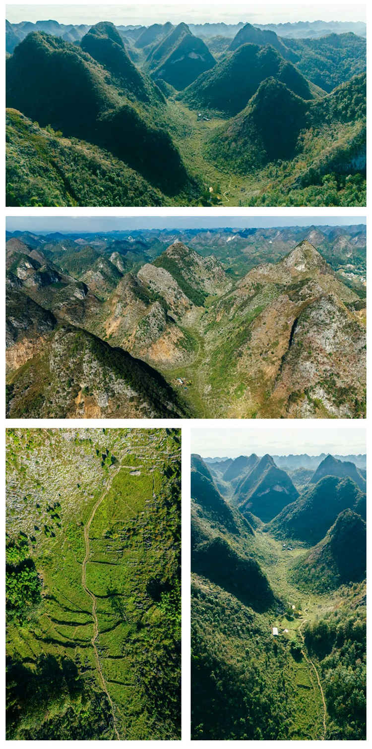 绿野棱镜-强驴出山01_04