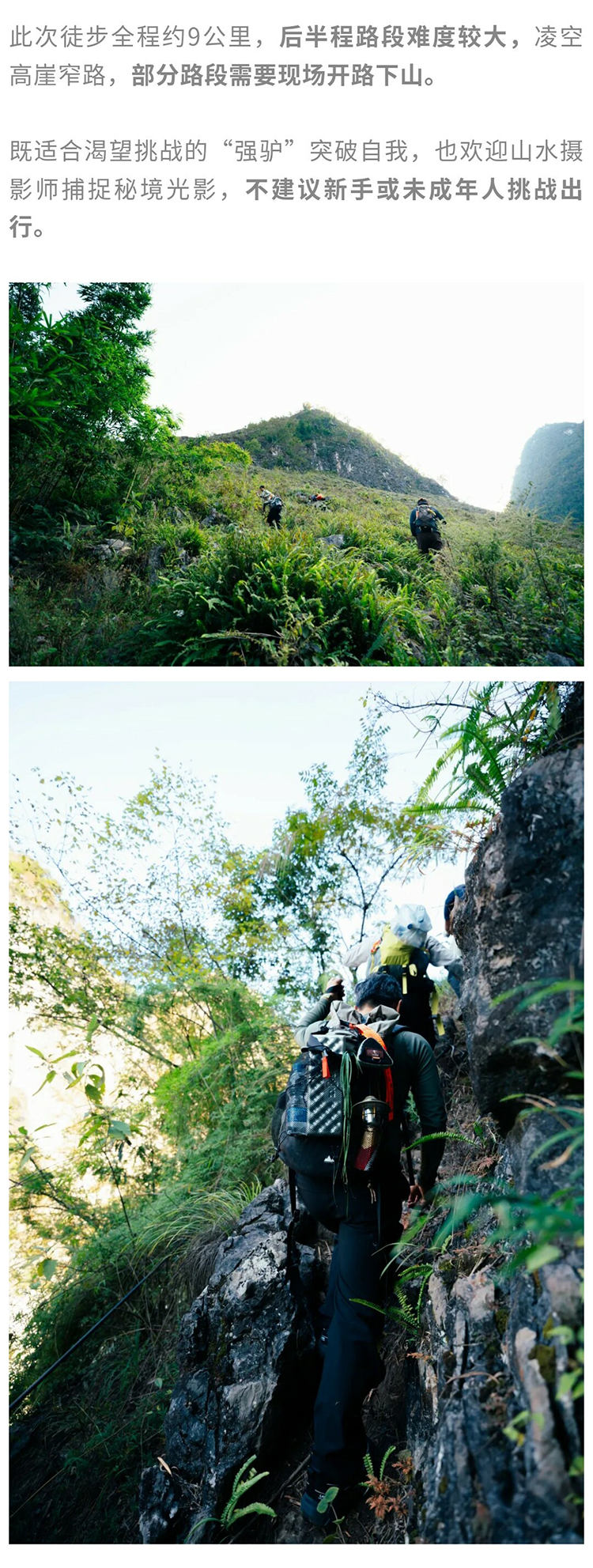 绿野棱镜-强驴出山02_04