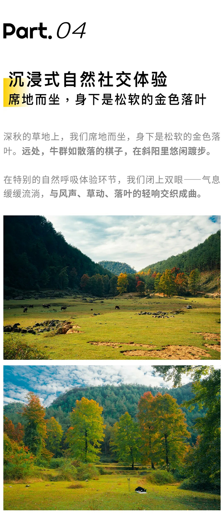 枫叶彩林-徒步野炊-秀米02_01