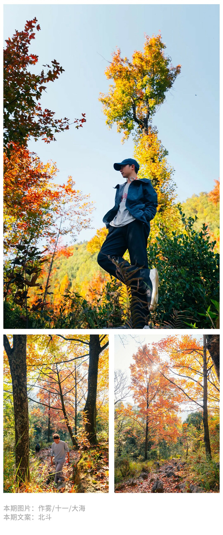 郎岱枫林彩林赏秋_14