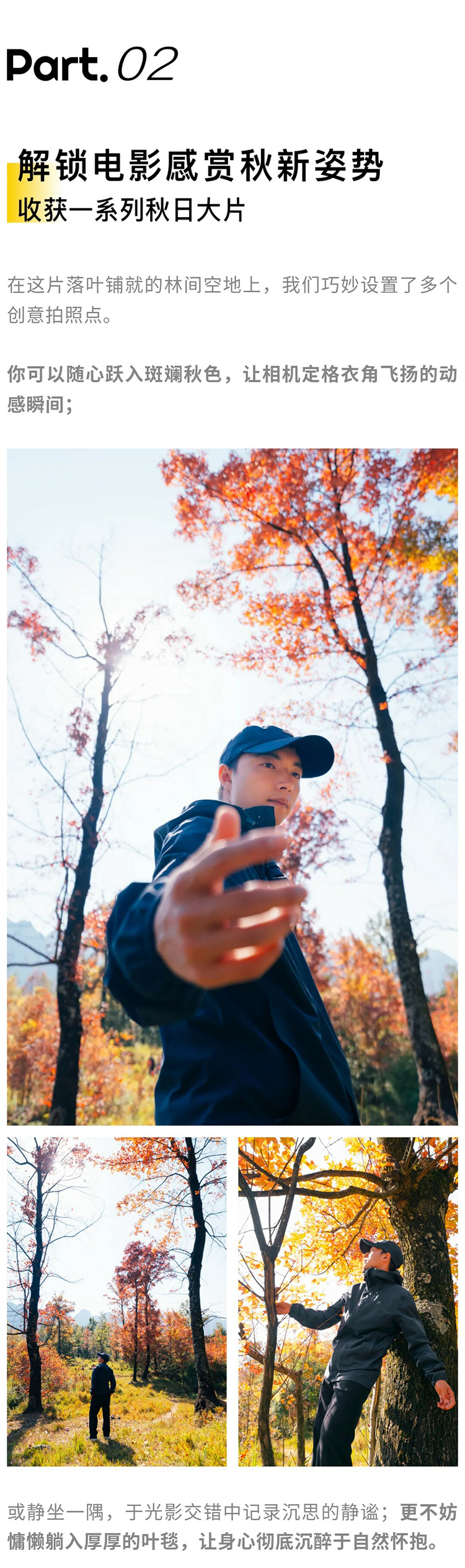 郎岱枫林彩林赏秋_09