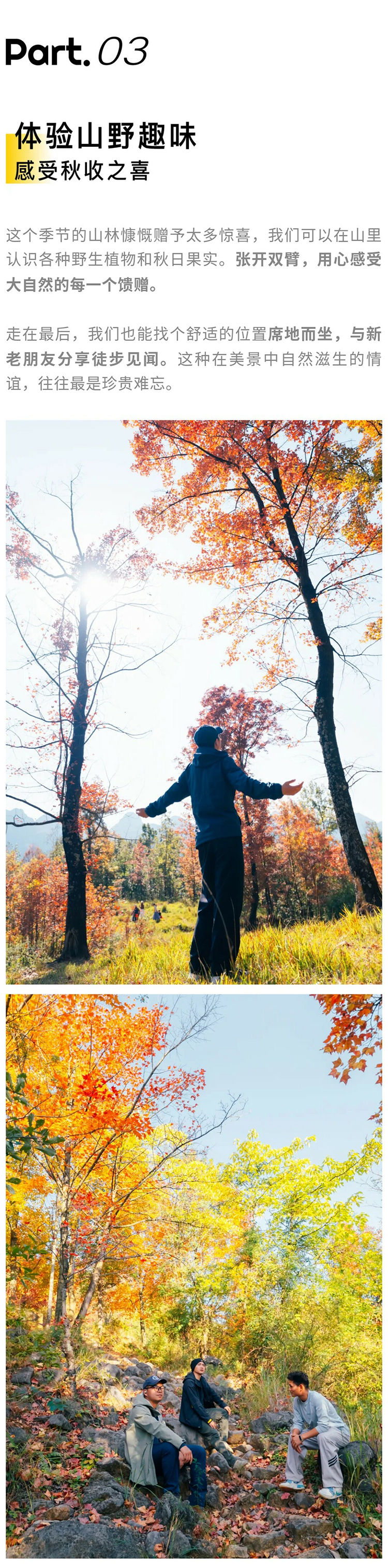 郎岱枫林彩林赏秋_12