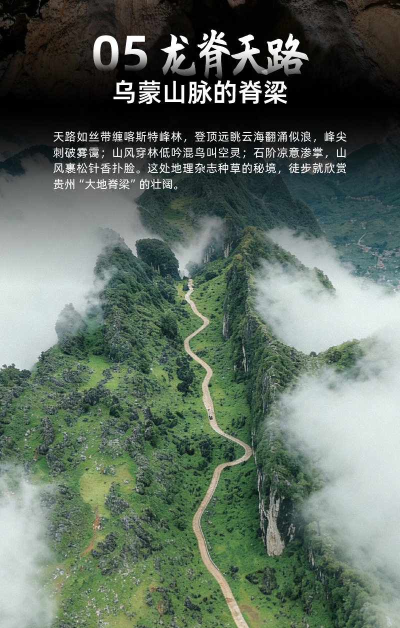 山河秘钥五重奏_1_06