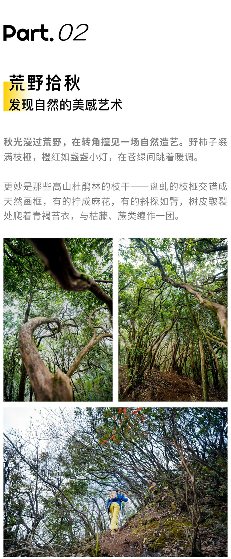 扁担山-秀米01_07_01