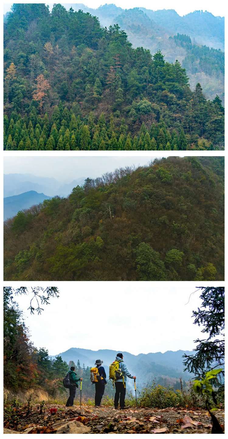 扁担山-秀米01_05