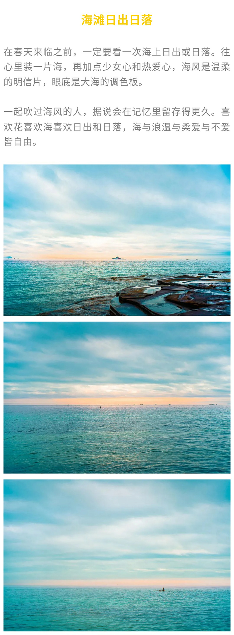 涠洲岛观鲸版01_16