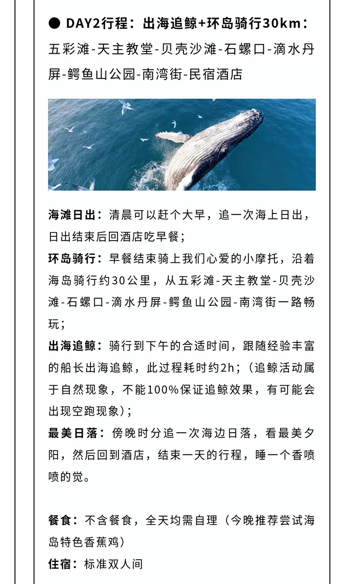 涠洲岛观鲸版02_09