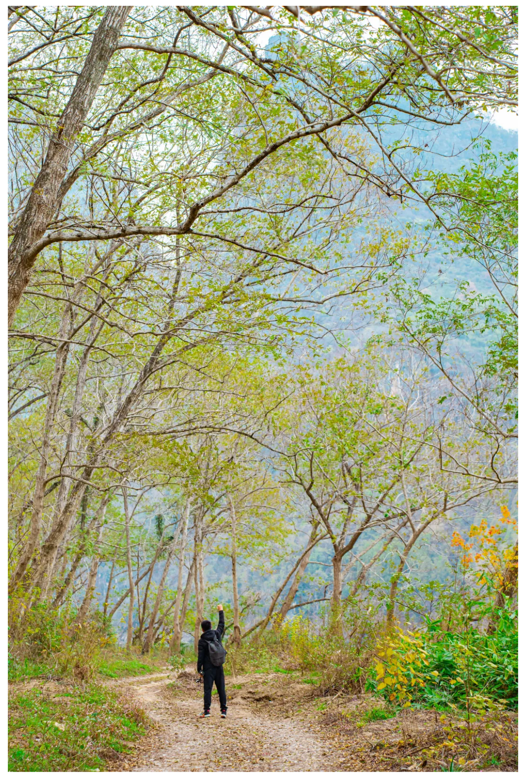 漓江徒步-秀米01_08