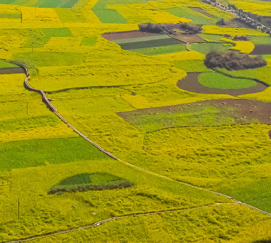 西南最早的春天01_02