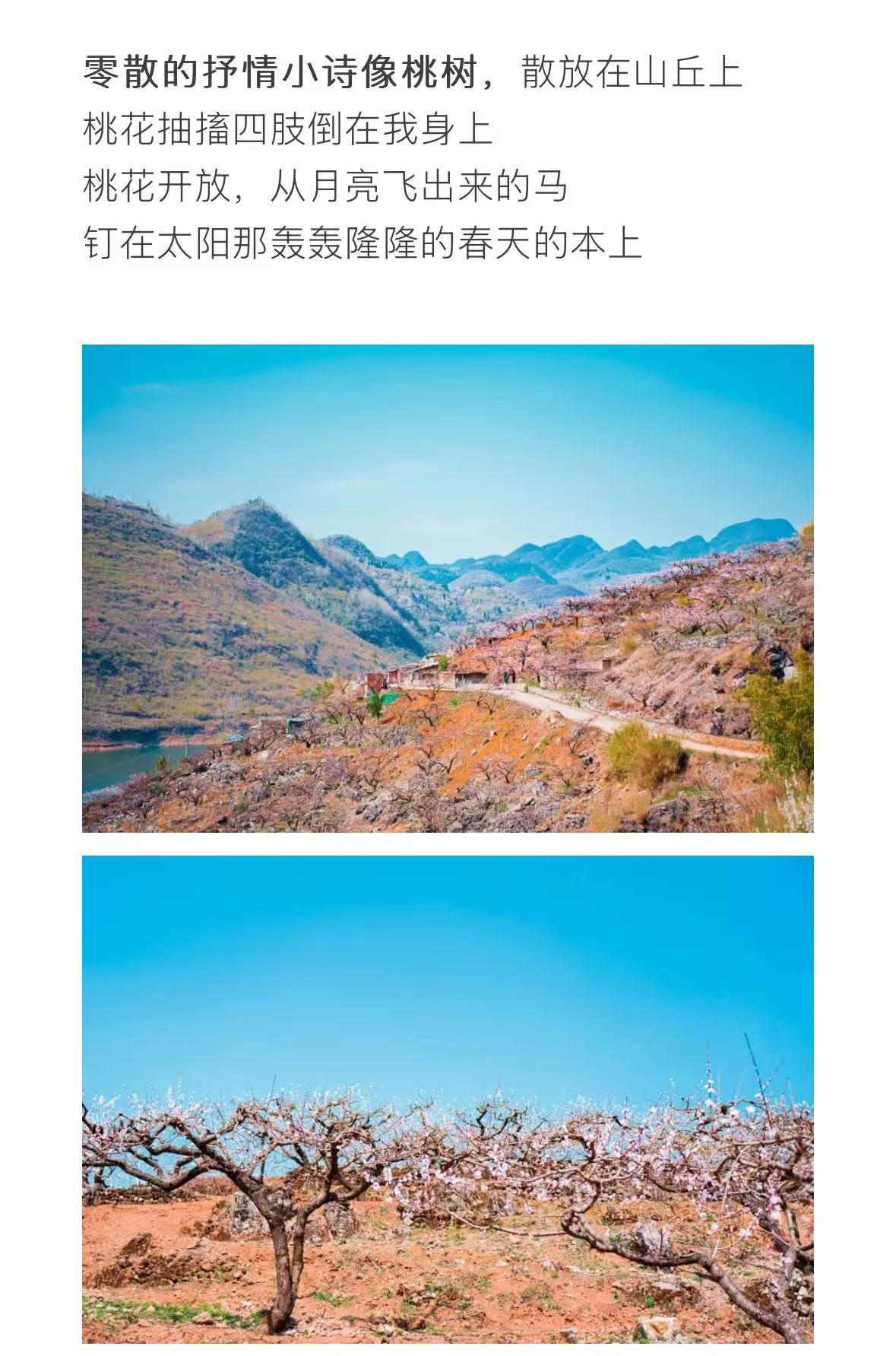 微信图片_2026-03-02_170051_143