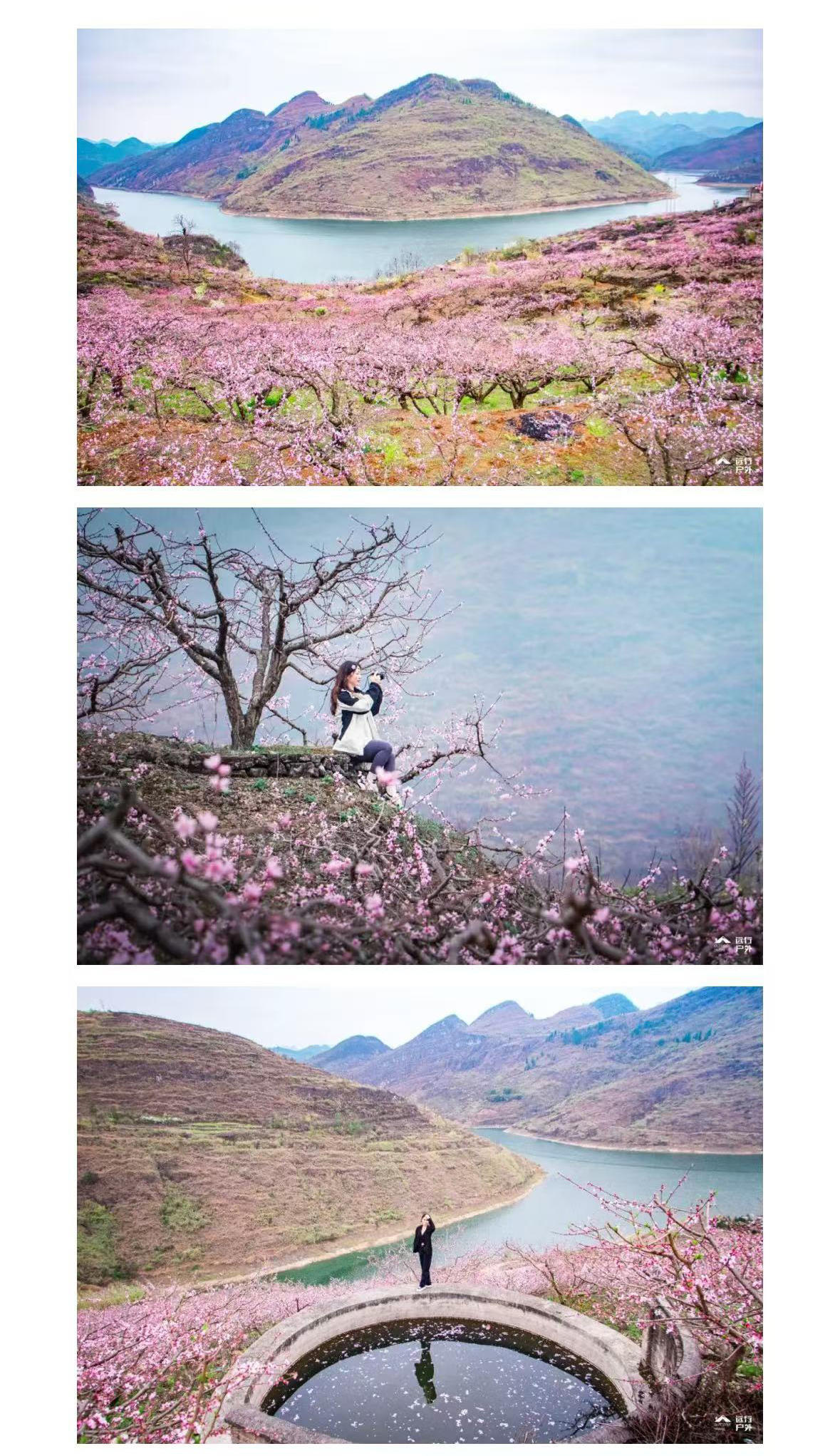 微信图片_2026-03-02_170210_919