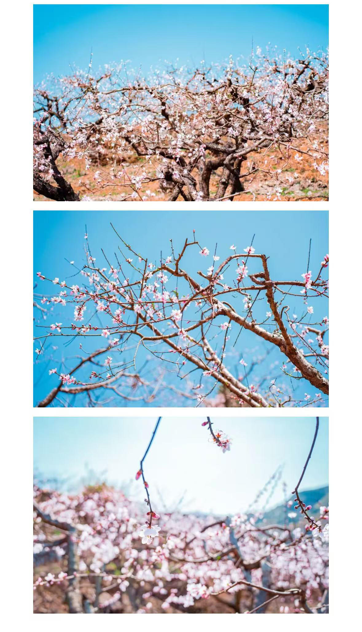 微信图片_2026-03-02_170055_319