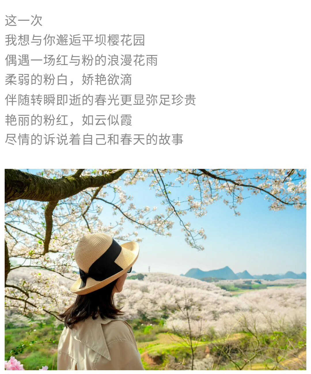 平坝樱花-秀米01_05