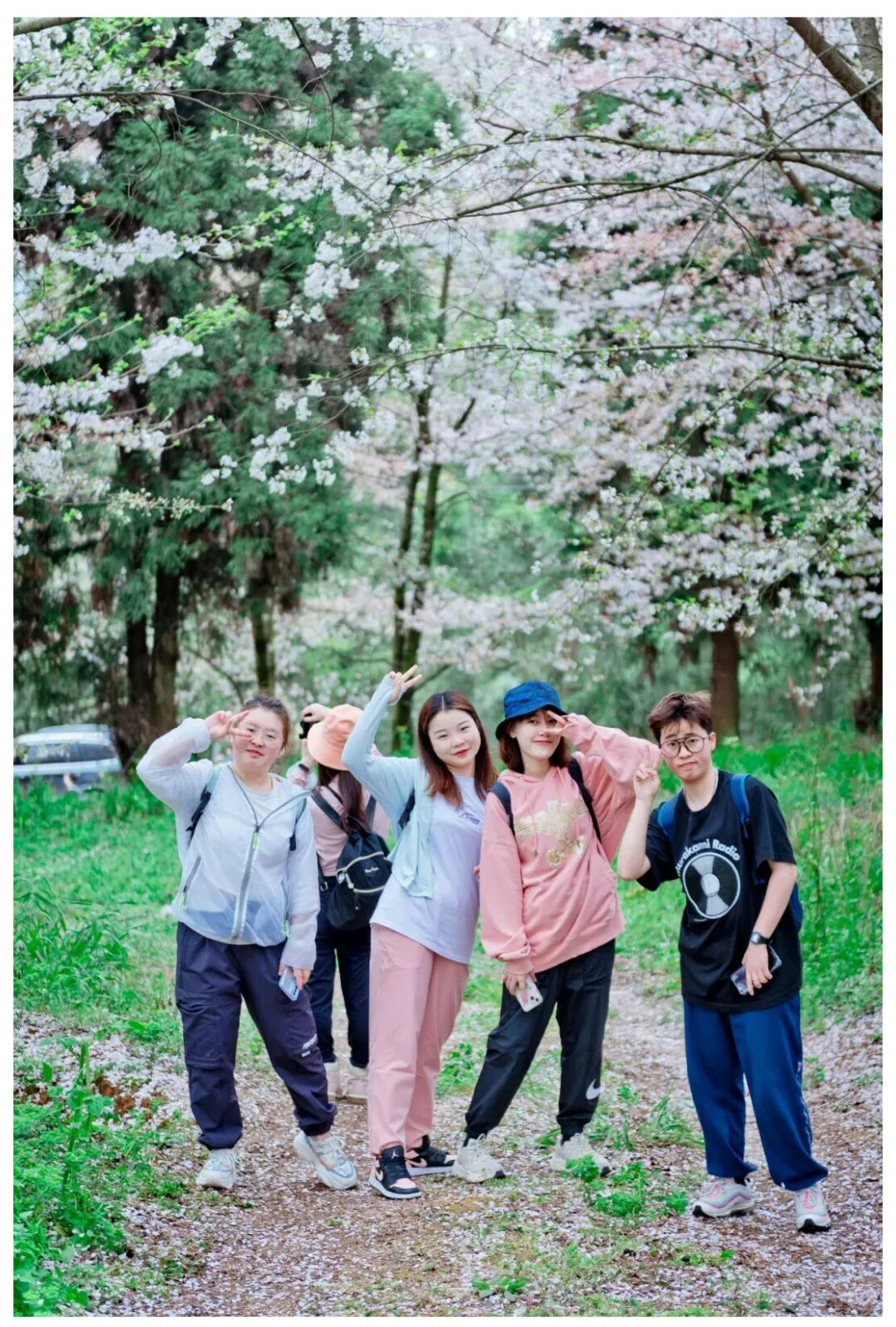 平坝樱花-秀米01_11