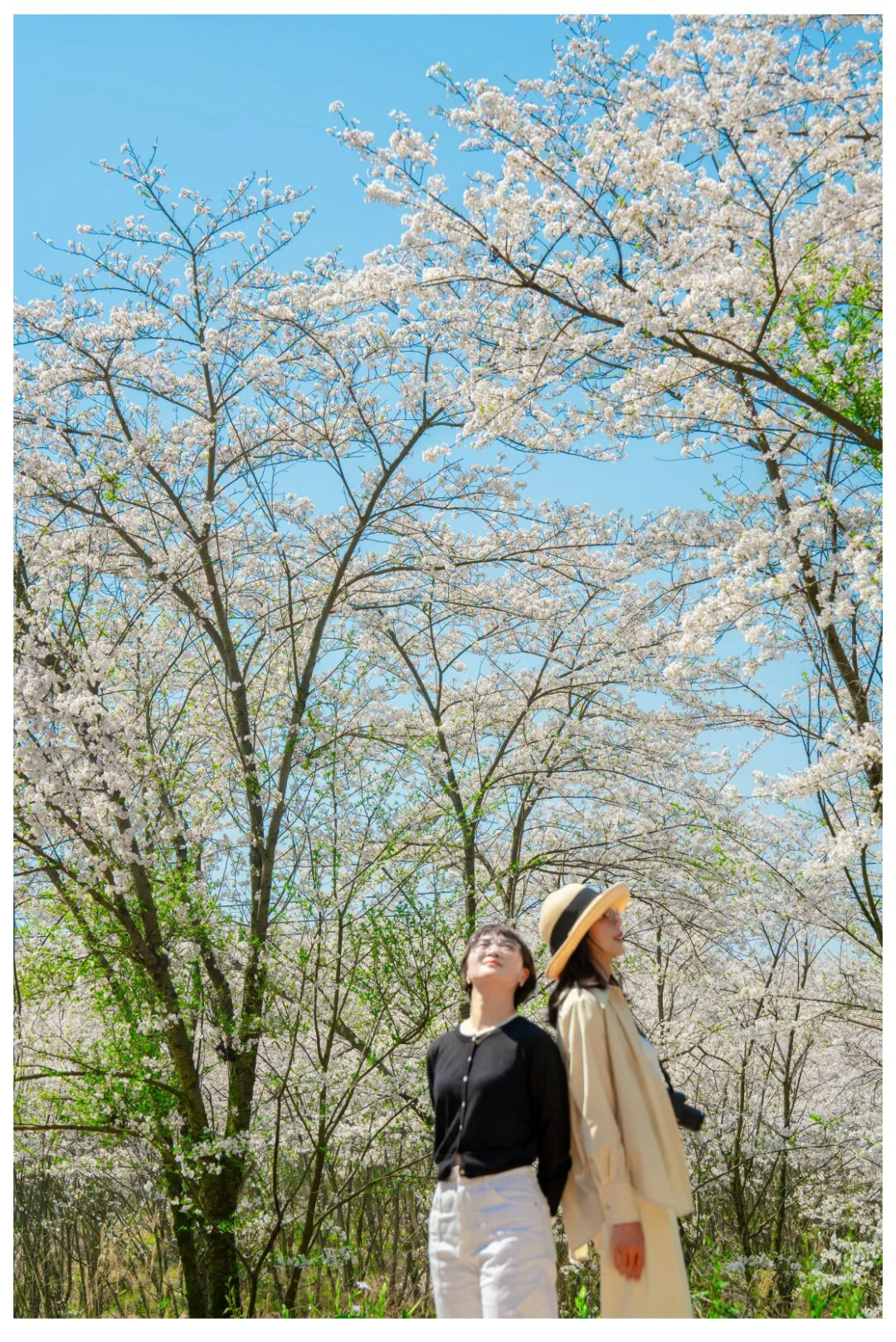 平坝樱花-秀米01_07