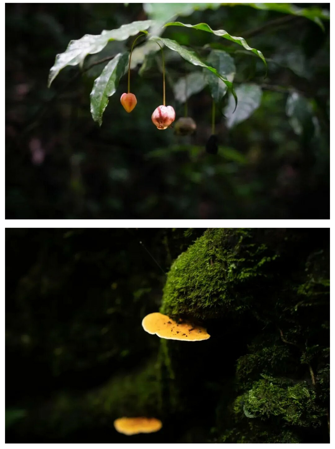 茂兰-贵阳出发版01_11