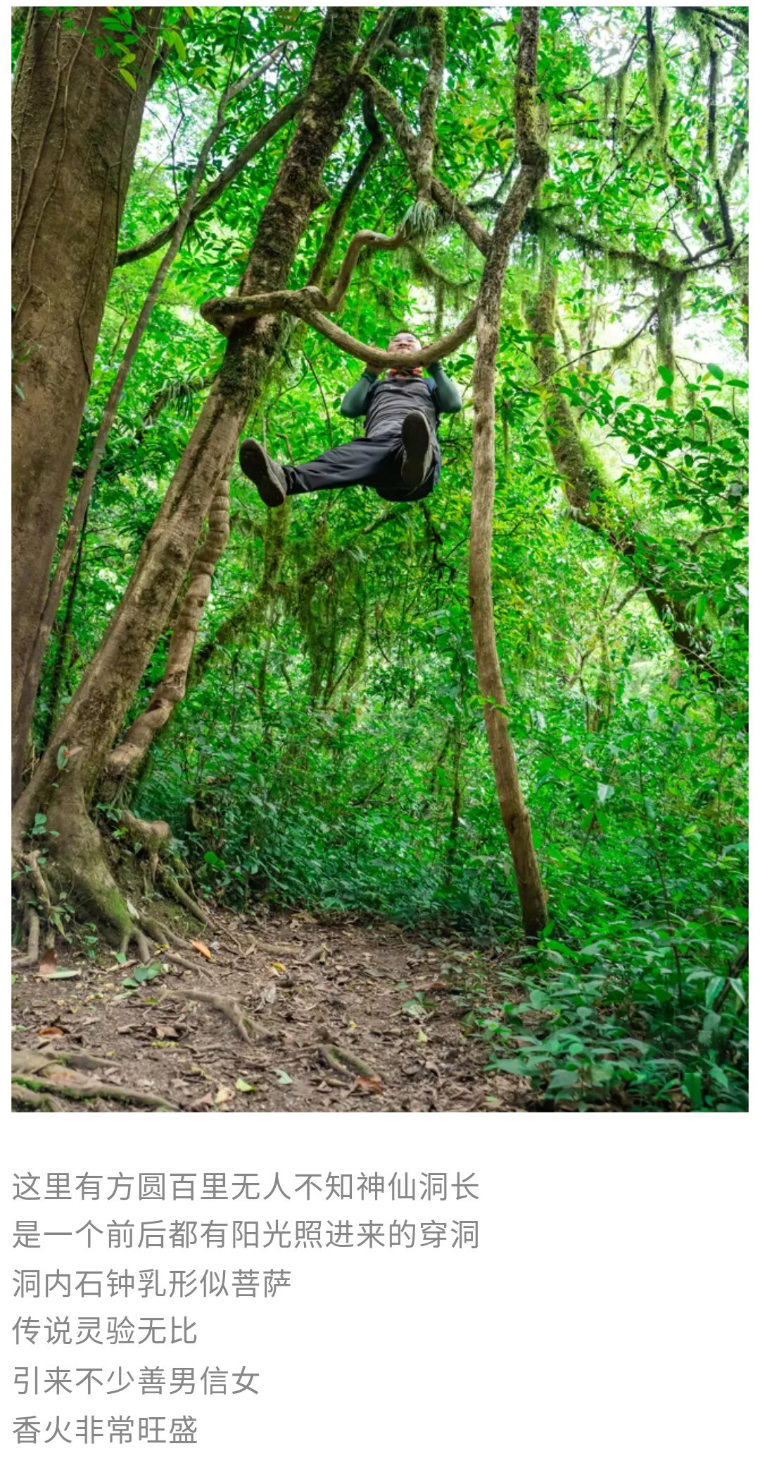 茂兰-贵阳出发版01_12