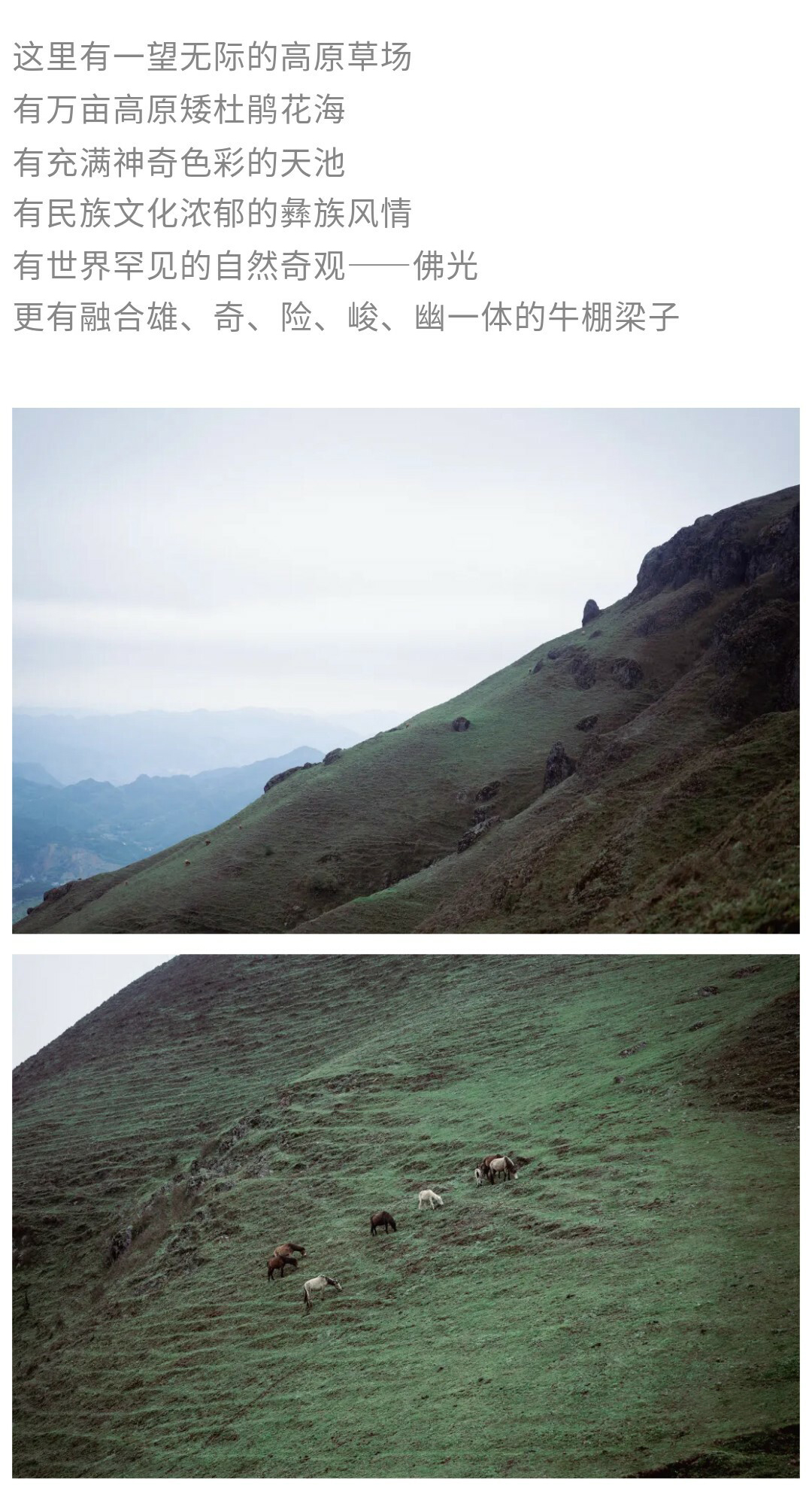 牛棚梁子-秀米01_08