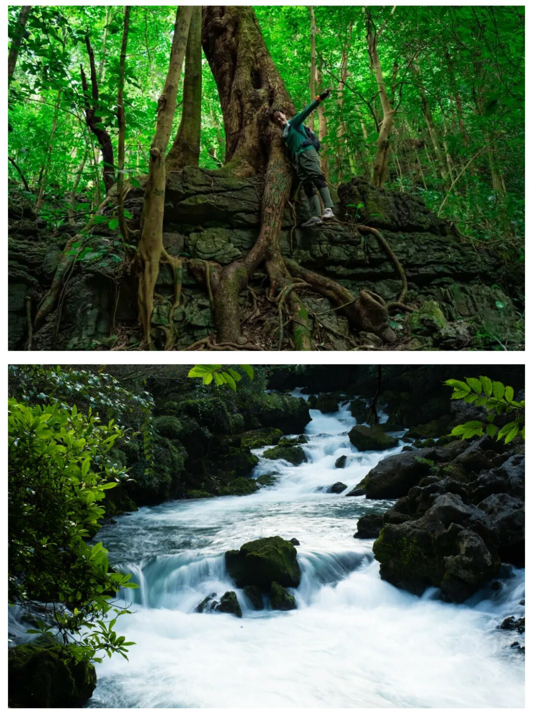 茂兰-贵阳出发版01_06