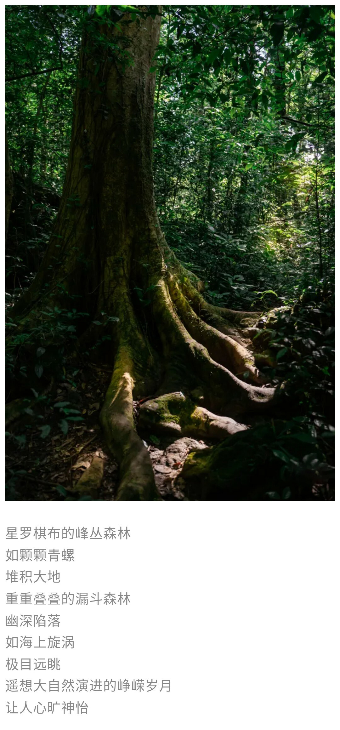 茂兰-贵阳出发版01_09