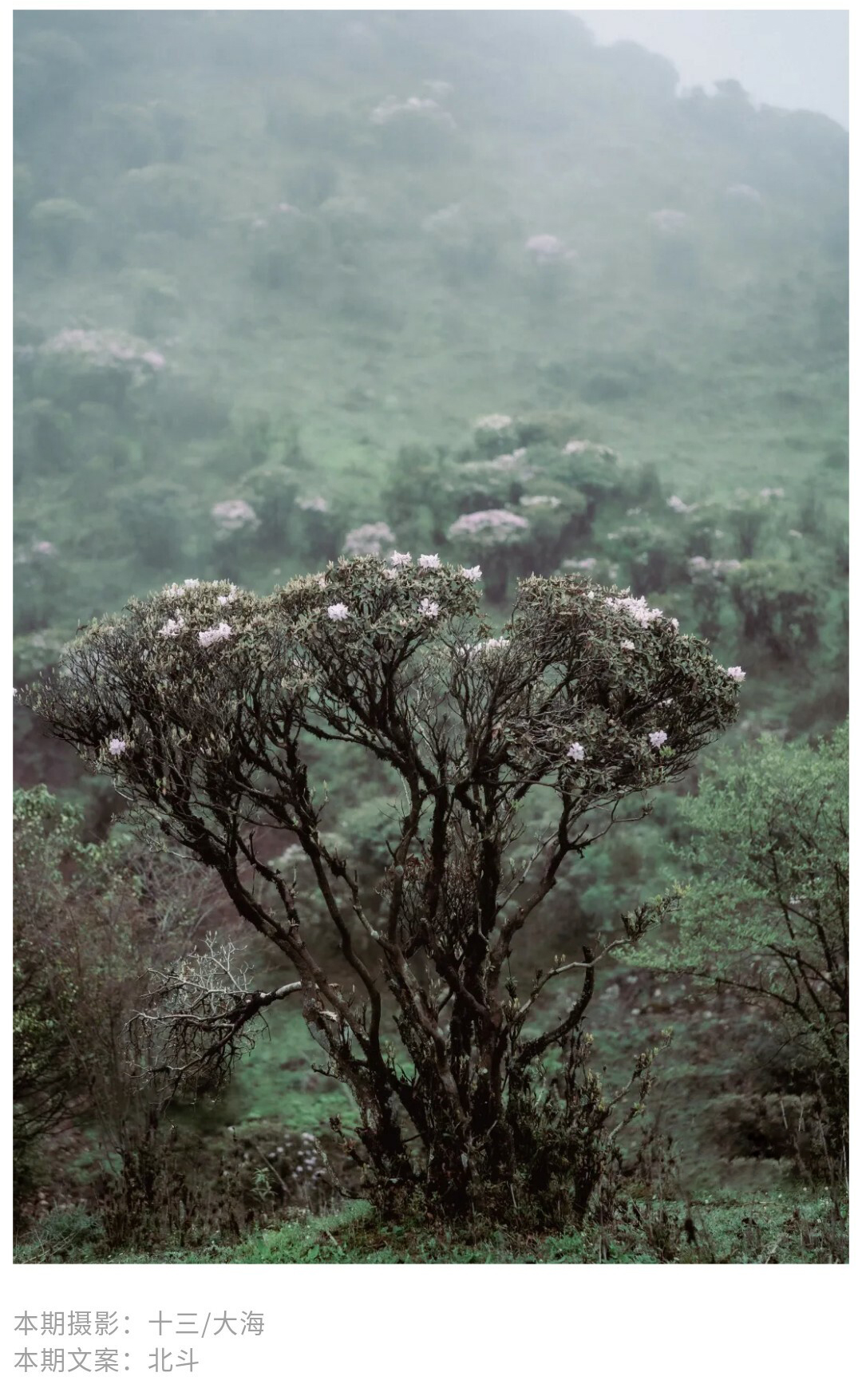 牛棚梁子-秀米01_16