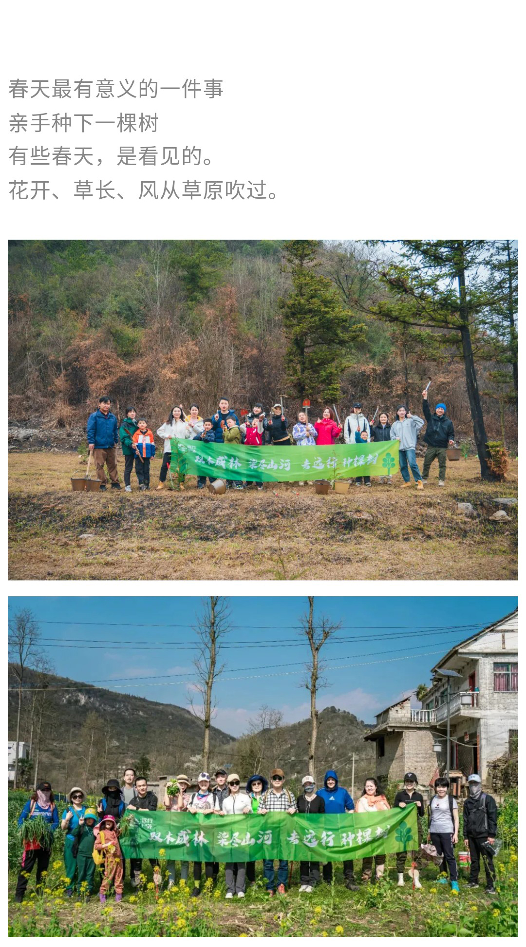 植树节-秀米_02