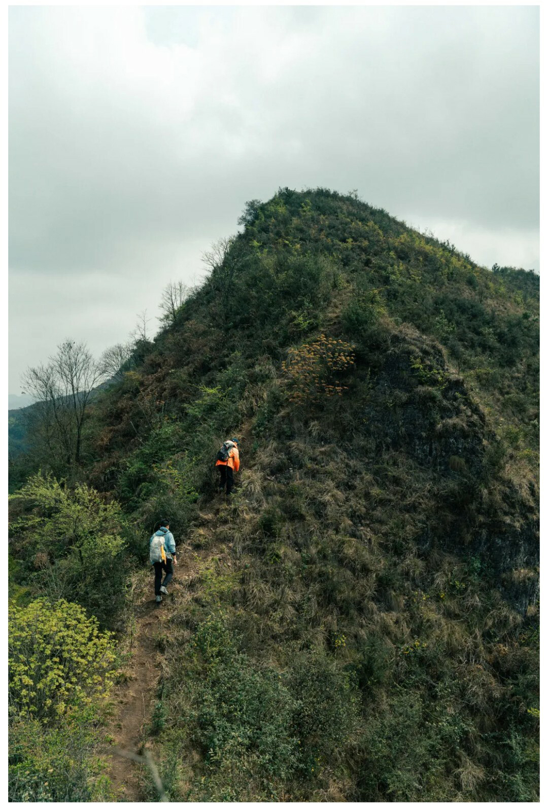 刀背山-秀米01_03