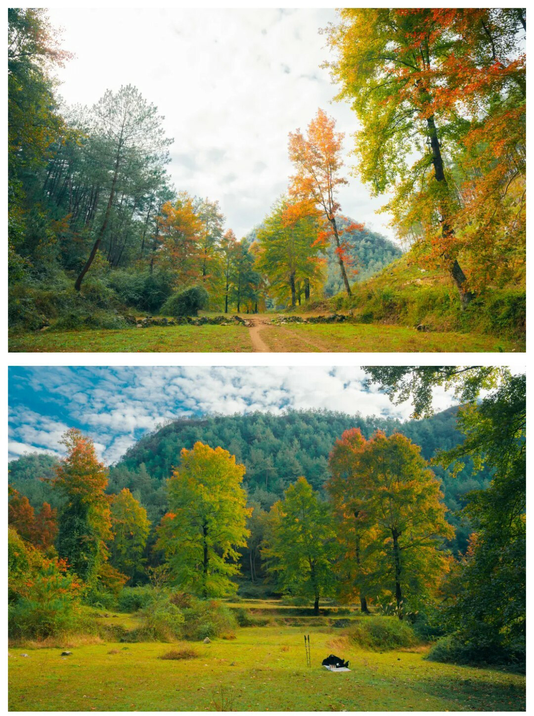 摆金（春天）秀米01_08