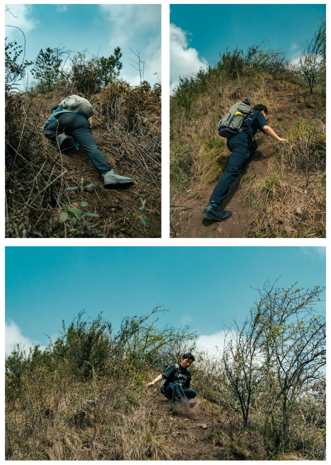 刀背山-秀米01_06