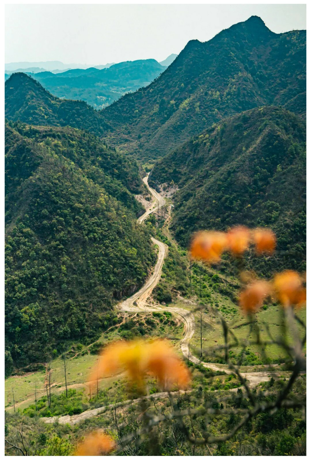 刀背山-秀米01_12