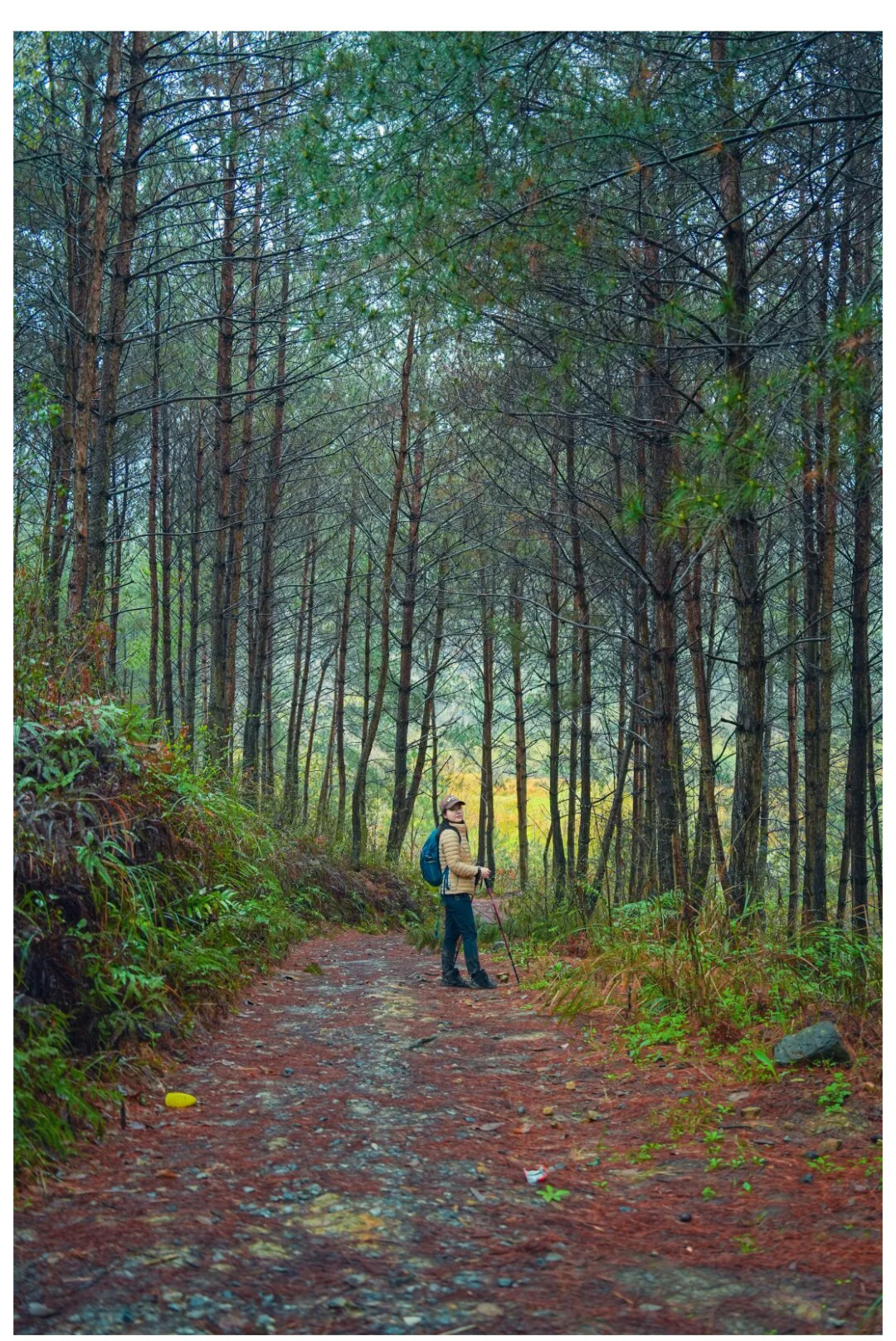 摆金（春天）秀米01_04