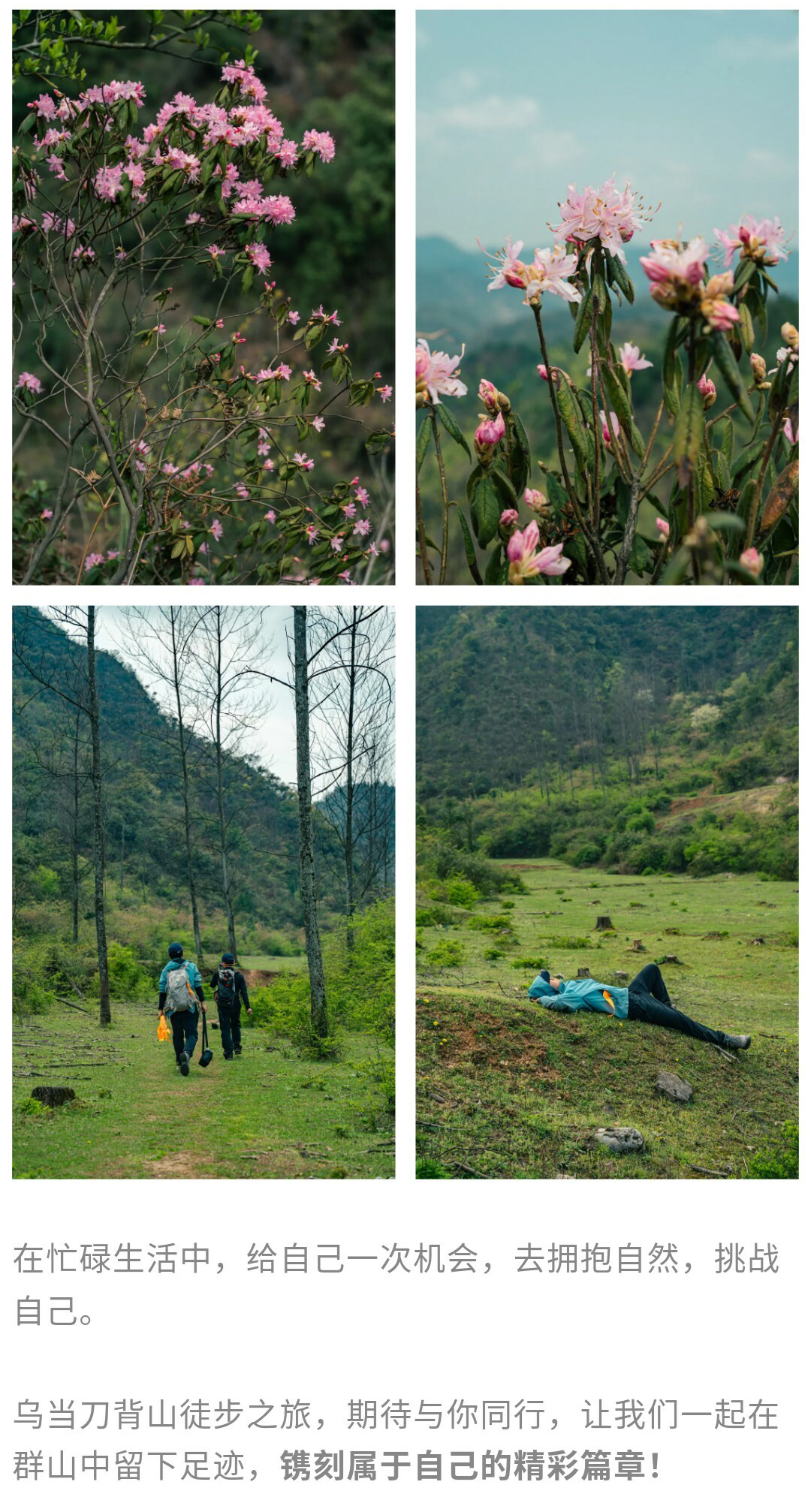 刀背山-秀米01_13